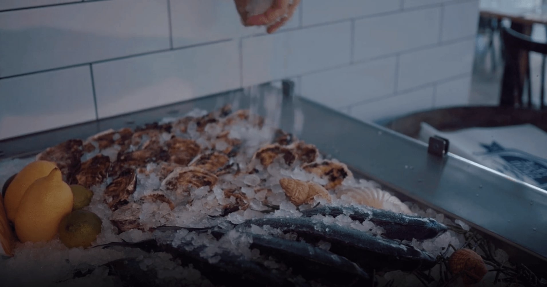 Zivju Lete - Gallery 3